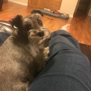 Meet your Posher, Amy